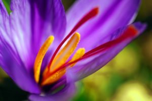 mehdi-torabi-asKHlzqo4t0-unsplash
